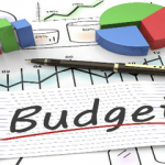 CNAP Expert Needed to Analyse Budget