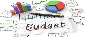 Read more about the article CNAP Expert Needed to Analyse Budget